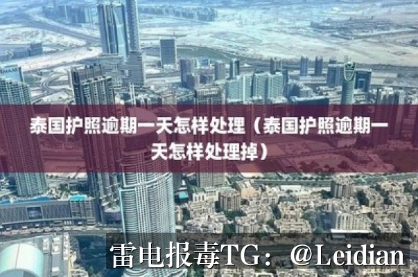 海报推荐